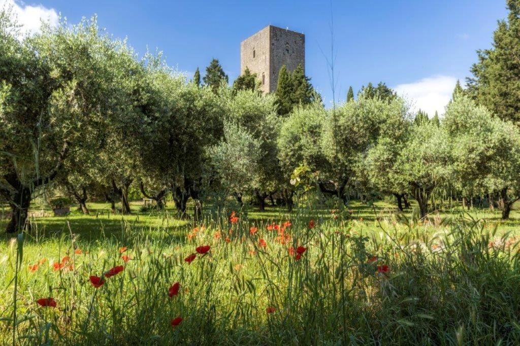 Torre Dei Belforti Montecatini Val di Cecina Exterior foto