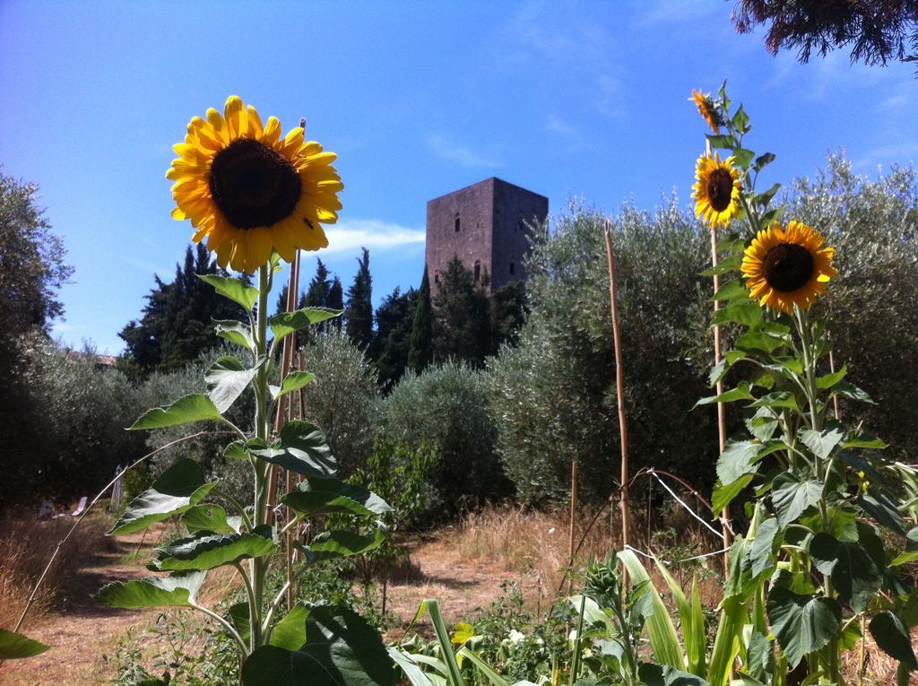 Torre Dei Belforti Montecatini Val di Cecina Exterior foto